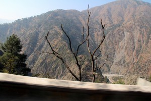 IMG_1215