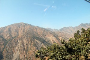 IMG_1216