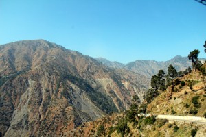 IMG_1217